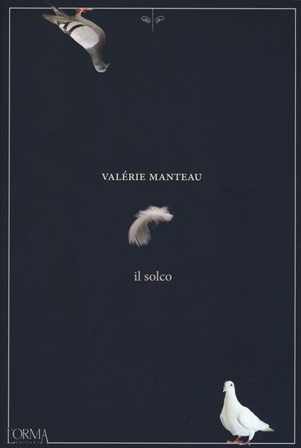 Il solco - Valérie Manteau - copertina