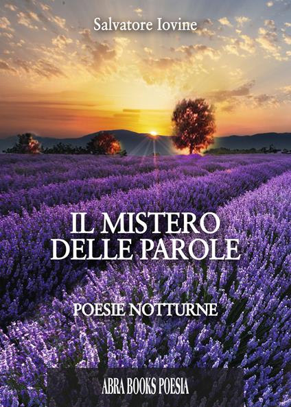 Il mistero delle parole. Poesie notturne - Salvatore Iovine - copertina