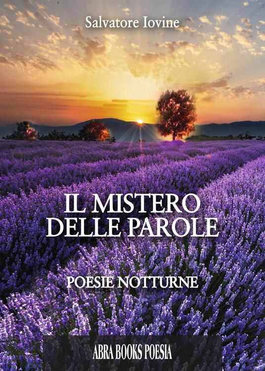Il mistero delle parole. Poesie notturne - Salvatore Iovine - copertina