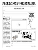 Professione giornalista