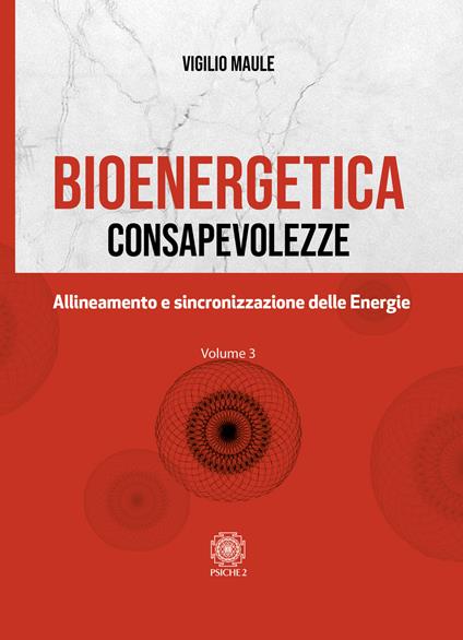 Bioenergetica. Consapevolezze. Vol. 3: Allineamento e sincronizzazione delle energie - Vigilio Maule - copertina