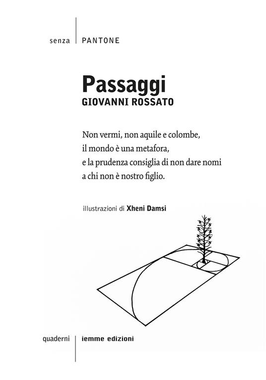 Passaggi - Giovanni Rossato - copertina