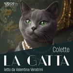 La gatta