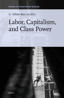 Labor, Capitalism, and Class Power - cover