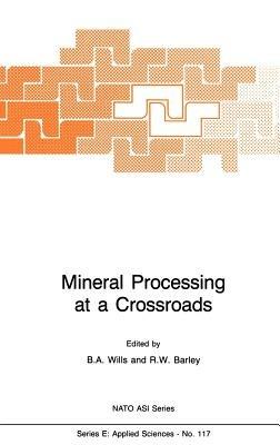 Mineral Processing at a Crossroads: Problems and Prospects - cover