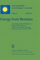 Energy from Biomass - cover