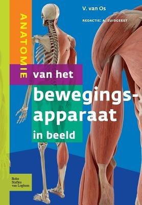 Anatomie Van Het Bewegingsapparaat in Beeld - V Van Os - cover