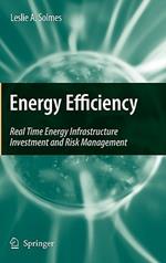 Energy Efficiency: Real Time Energy Infrastructure Investment and Risk Management