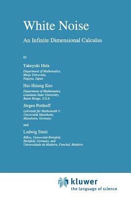White Noise: An Infinite Dimensional Calculus - Takeyuki Hida,Hui-Hsiung Kuo,Jürgen Potthoff - cover
