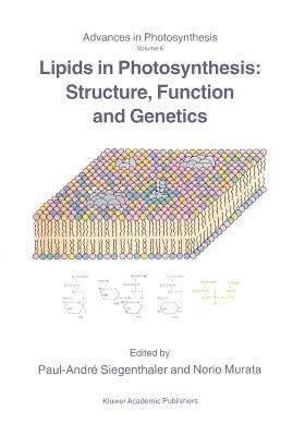 Lipids in Photosynthesis: Structure, Function and Genetics - cover