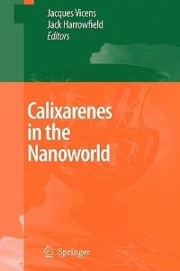 Calixarenes in the Nanoworld - cover