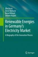 Renewable Energies in Germany’s Electricity Market: A Biography of the Innovation Process - Elke Bruns,Dörte Ohlhorst,Bernd Wenzel - cover