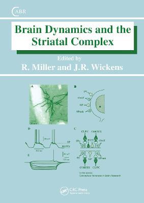 Brain Dynamics and the Striatal Complex - Robert Miller,Jeffrey Wickens - cover
