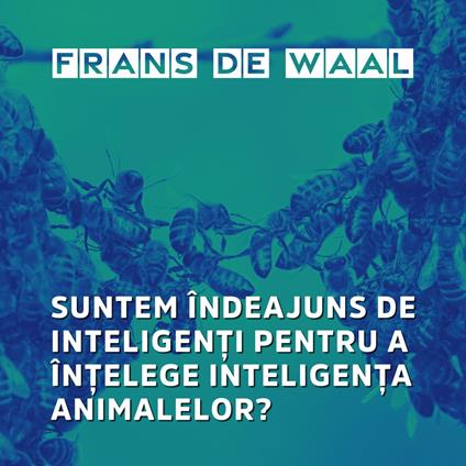 Suntem îndeajuns de inteligen?i pentru a în?elege inteligen?a animalelor?