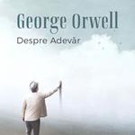 Despre adevar