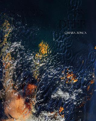 Saved by a deer - cover