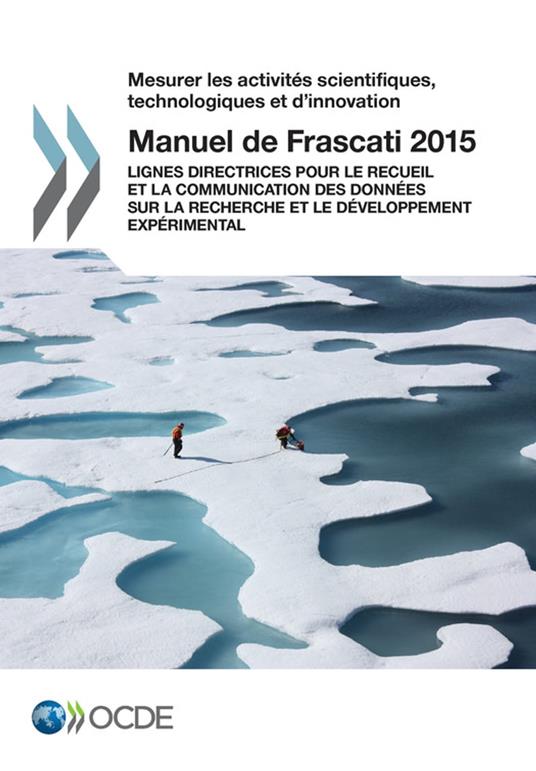 Manuel de Frascati 2015