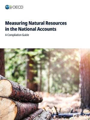 Measuring Natural Resources in the National Accounts - Oecd - cover