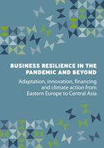 Business Resilience in the Pandemic and Beyond