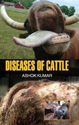 Diseases of Cattle - Ashok Kumar - cover