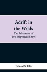 Adrift in the Wilds: The Adventures of Two Shipwrecked Boys