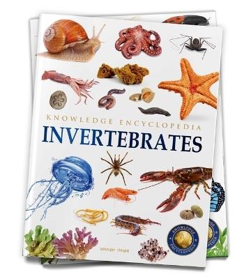 Animals: Invertebrates Knowledge Encyclopedia for Children - Wonder House Books - cover