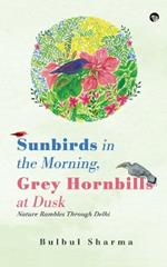 Sunbirds in the Morning, Grey Hornbills at Dusk Nature Rambles Through Delhi