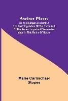 Libro in inglese Ancient Plants; Being a Simple Account of the past Vegetation of the Earth and of the Recent Important Discoveries Made in This Realm of Nature  - Marie Carmichael Stopes