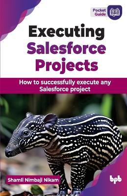 Executing Salesforce Projects: How to successfully execute any Salesforce project - Shamli Nikam - cover