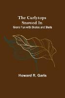 The Curlytops Snowed In; Grand Fun with Skates and Sleds - Howard R Garis - cover