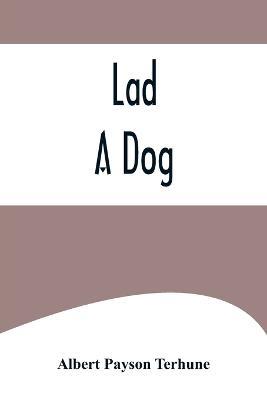 Lad: A Dog - Albert Payson Terhune - cover