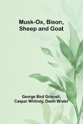 Musk-Ox, Bison, Sheep and Goat - George Bird Grinnell,Caspar Whitney - cover