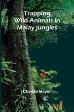 Trapping wild animals in Malay jungles