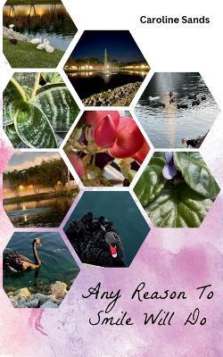 Any Reason To Smile Will Do - Caroline Sands - cover