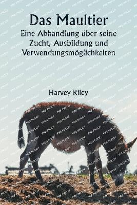 The Senator's Bride (Edition1) - Harvey Riley - cover