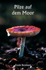 Pilze auf dem Moor