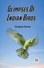 Glimpses Of Indian Birds