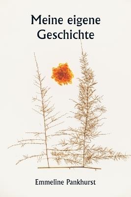 Actes et Paroles, Volume 4: Depuis lExil 1876-1885 (Edition1) - Emmeline Pankhurst - cover