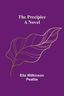 The Precipice - Elia Wilkinson Peattie - cover