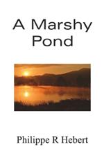 A Marshy Pond