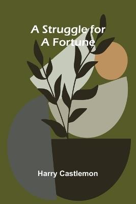 A Struggle for a Fortune - Harry Castlemon - cover