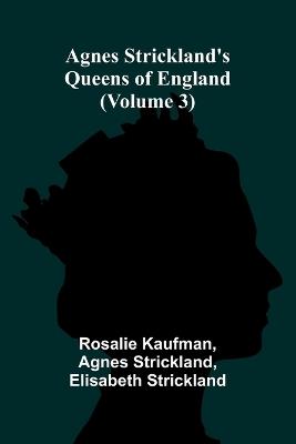The Voyages and Adventures of Captain Hatteras (Edition1) - Rosalie Kaufman,Agnes Strickland - cover