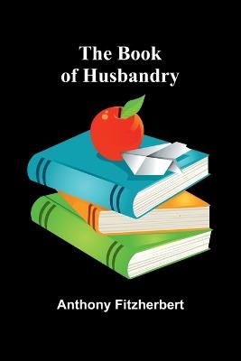 Sure Pop and the Safety Scouts (Edition1) - Anthony Fitzherbert - cover