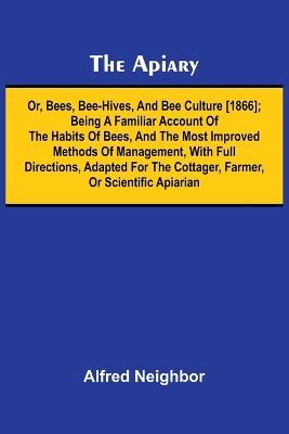 The Puritan Widow (Edition1) - Alfred Neighbor - cover