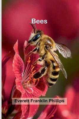 The Sword of Damocles A Story of New York Life (Edition1) - Everett Franklin Phillips - cover