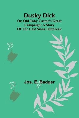 The Bible object book A book of object lessons which are different, written in plain English and in common words (Edition1) - Jos E Badger - cover