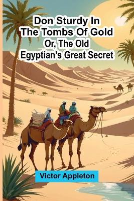 Christmas in Ritual and Tradition, Christian and Pagan (Edition1) - Victor Appleton - cover