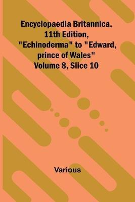 The eastern or Turkish bath Its history, revival in Britain, and application to the purposes of health (Edition1) - Various - cover