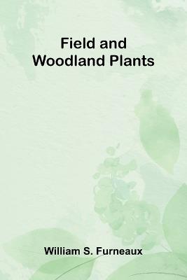 The Formation of Christendom (Volume II) (Edition1) - William S Furneaux - cover