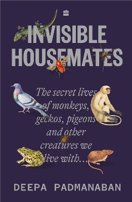ibs